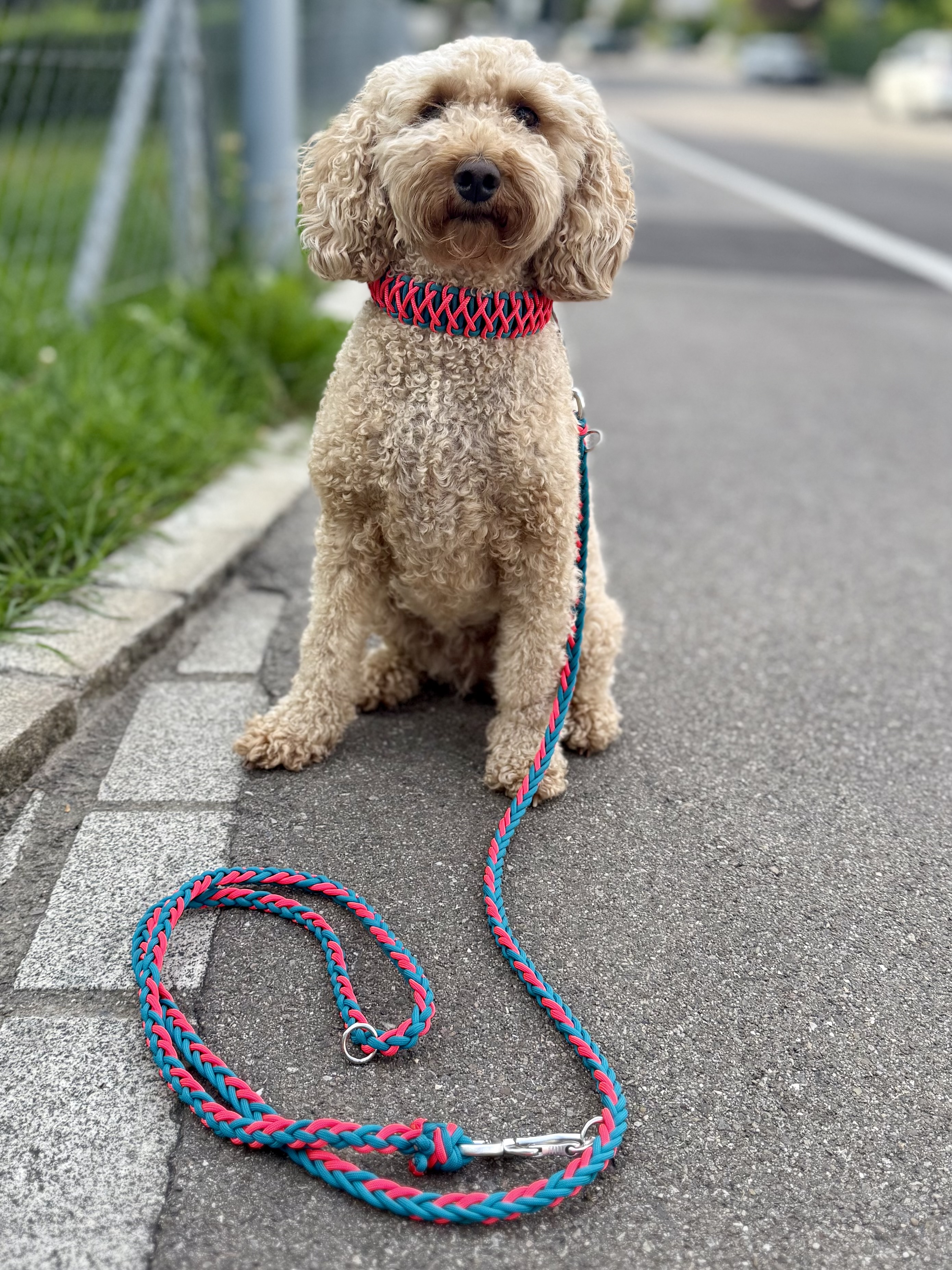 Mehr als nur eine Verbindung: Warum eine handgefertigte Leine den Unterschied macht